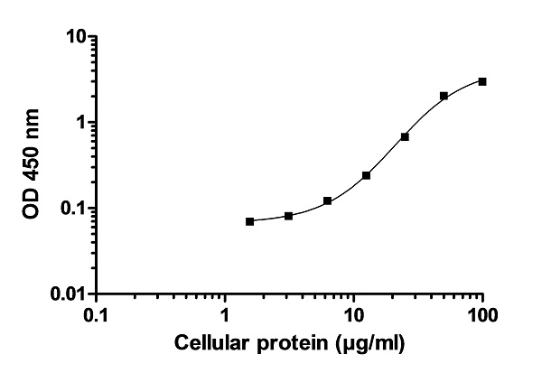 ELISA - p38 MAPK alpha ELISA Kit (AB221012), expandable thumbnail
