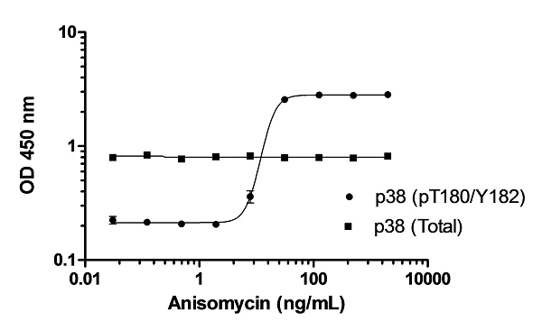 ELISA - p38 MAPK alpha (pT180/Y182) ELISA Kit (AB221011)