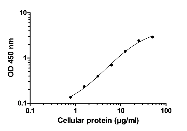 ELISA - p38 MAPK alpha (pT180/Y182) ELISA Kit (AB221011)