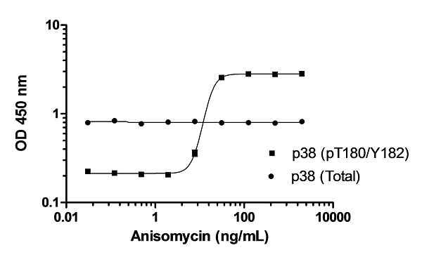 ELISA - p38 MAPK alpha (pT180/Y182 + Total) ELISA Kit (AB221013)