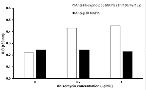 In-Cell ELISA - p38 MAPK alpha (Thr180/Tyr182) In-Cell ELISA Kit (AB126425), expandable thumbnail