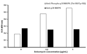 In-Cell ELISA - p38 MAPK alpha (Thr180/Tyr182) In-Cell ELISA Kit (AB126425), expandable thumbnail