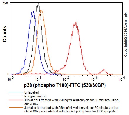Flow Cytometry (Intracellular) - Anti-p38 (phospho T180) antibody [EPR16587] - BSA and Azide free (AB236527)