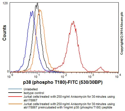 Flow Cytometry (Intracellular) - Anti-p38 (phospho T180) antibody [EPR16587] - BSA and Azide free (AB236527)