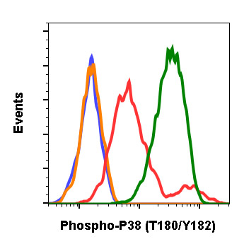 Flow Cytometry - Anti-p38 (phospho T180 + Y182) antibody [P38T180Y182-E3] (AB278674), expandable thumbnail