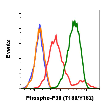 Flow Cytometry - Anti-p38 (phospho T180 + Y182) antibody [P38T180Y182-E3] (AB278674)