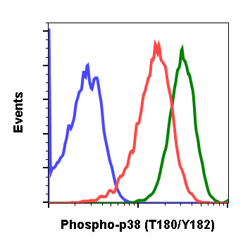 Flow Cytometry - Anti-p38 (phospho T180 + Y182) antibody [P38T180Y182-E3] (AB278674), expandable thumbnail