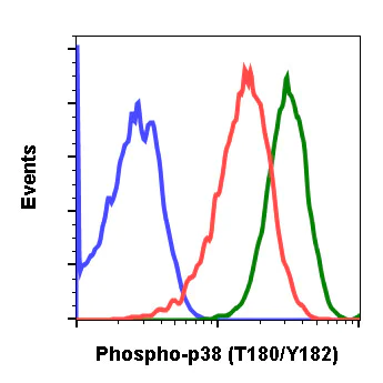 Flow Cytometry - Anti-p38 (phospho T180 + Y182) antibody [P38T180Y182-E3] (AB278674)