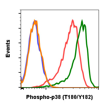 Flow Cytometry - Anti-p38 (phospho T180 + Y182) antibody [P38T180Y182-E3] (AB278674), expandable thumbnail
