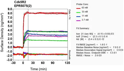 OI-RD Scanning - Anti-p39 antibody [EPR5075(2)] - BSA and Azide free (AB248345)