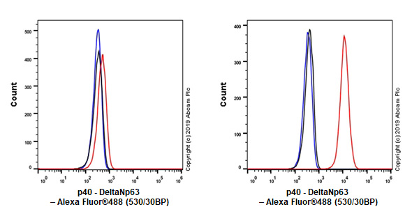 Flow Cytometry (Intracellular) - Anti-p40 - DeltaNp63 antibody [EPR17863-47] - BSA and Azide free (AB269956), expandable thumbnail