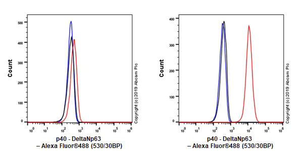 Flow Cytometry (Intracellular) - Anti-p40 - DeltaNp63 antibody [EPR17863-47] - BSA and Azide free (AB269956)