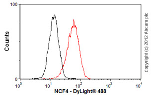 Flow Cytometry (Intracellular) - Anti-p40-phox antibody [EP2142Y] (AB76158), expandable thumbnail