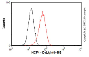 Flow Cytometry (Intracellular) - Anti-p40-phox antibody [EP2142Y] (AB76158)