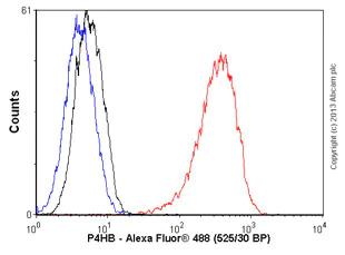 Flow Cytometry (Intracellular) - Anti-P4HB antibody [EPR9499] - BSA and Azide free (AB232347)