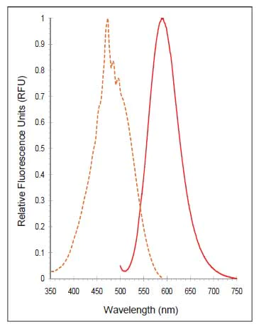 Functional Studies - P4HB Inhibitor Screening Assay Kit (AB139480)