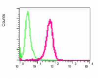 Flow Cytometry (Intracellular) - Anti-p50 dynamitin antibody [EPR5094] (AB109752)