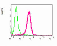 Flow Cytometry (Intracellular) - Anti-p50 dynamitin antibody [EPR5094] - BSA and Azide free (AB247925)