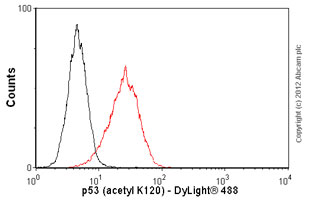 Flow Cytometry (Intracellular) - Anti-p53 (acetyl K120) antibody [10E5] (AB78316), expandable thumbnail