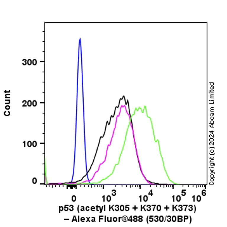 Flow Cytometry (Intracellular) - Anti-p53 (acetyl K305 + K370 + K373) antibody [RM1200] (AB321819)