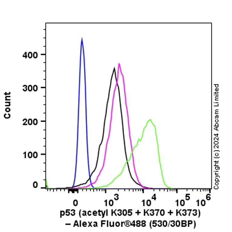 Flow Cytometry (Intracellular) - Anti-p53 (acetyl K305 + K370 + K373) antibody [RM1200] - BSA and Azide free (AB321820)