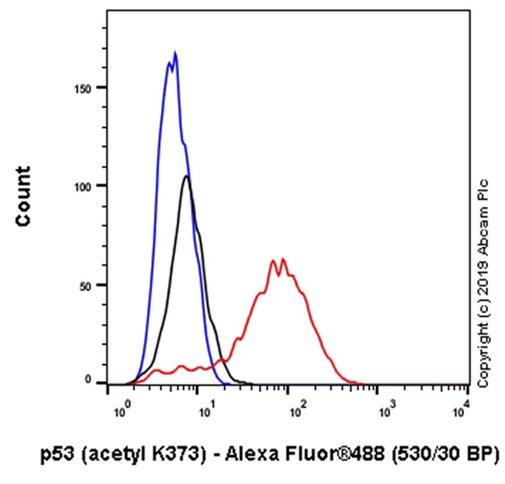 Flow Cytometry (Intracellular) - Anti-p53 (acetyl K373) antibody [EP356(2)AY] (AB62376), expandable thumbnail