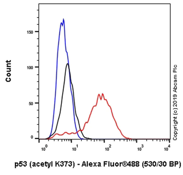 Flow Cytometry (Intracellular) - Anti-p53 (acetyl K373) antibody [EP356(2)AY] (AB62376)