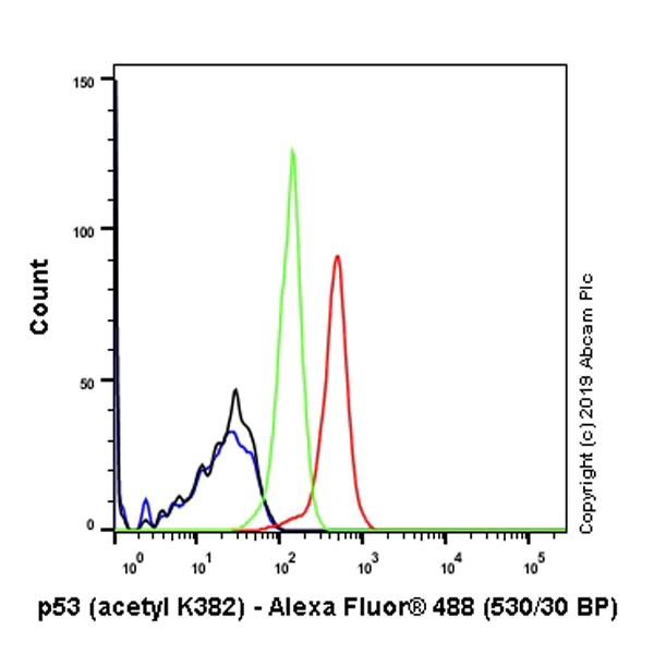 Flow Cytometry (Intracellular) - Anti-p53 (acetyl K382) antibody [EPR358(2)] - BSA and Azide free (AB219727)