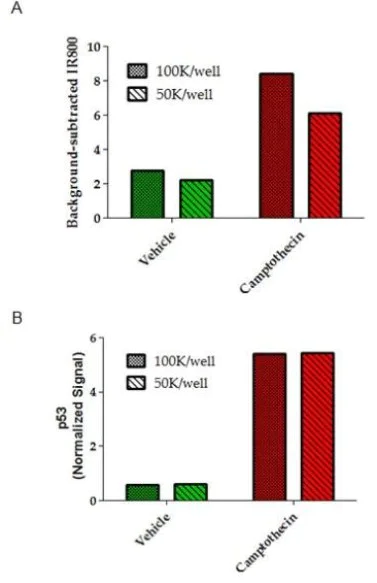 In-Cell ELISA - Anti-p53 antibody [9D3DE3] (AB154036)