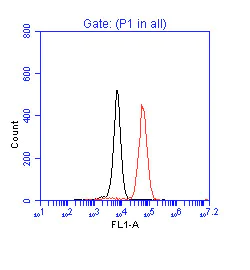 Flow Cytometry (Intracellular) - Anti-p53 antibody (AB17990)