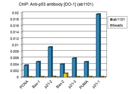 ChIP - Anti-p53 antibody [DO-1] - BSA and Azide free (AB237976)
