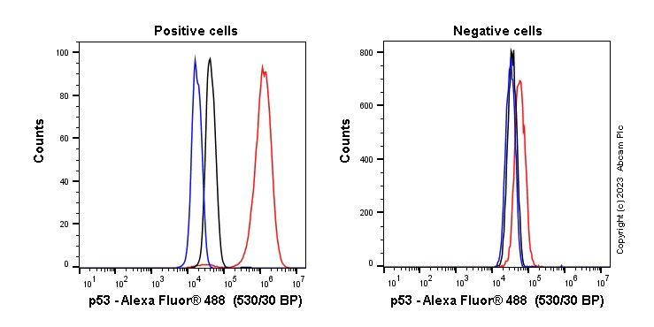 Flow Cytometry (Intracellular) - Anti-p53 antibody [DO-1] - BSA and Azide free (AB237976)