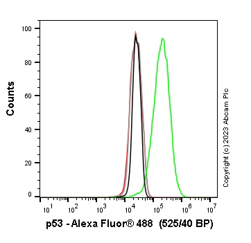 Flow Cytometry (Intracellular) - Anti-p53 antibody [DO-1] - BSA and Azide free (AB237976)