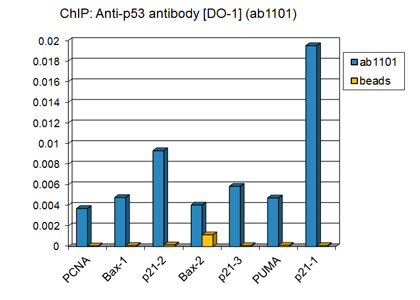 ChIP - Anti-p53 antibody [DO-1] - ChIP Grade (AB1101), expandable thumbnail