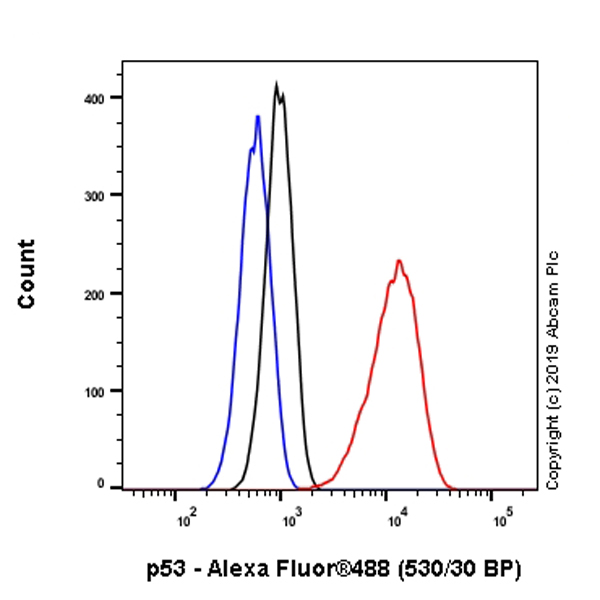 Flow Cytometry (Intracellular) - Anti-p53 antibody [EPR20416-120] (AB246550), expandable thumbnail