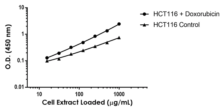 Sandwich ELISA - Anti-p53 antibody [EPR26-134] - BSA and Azide free (Capture) (AB307762)