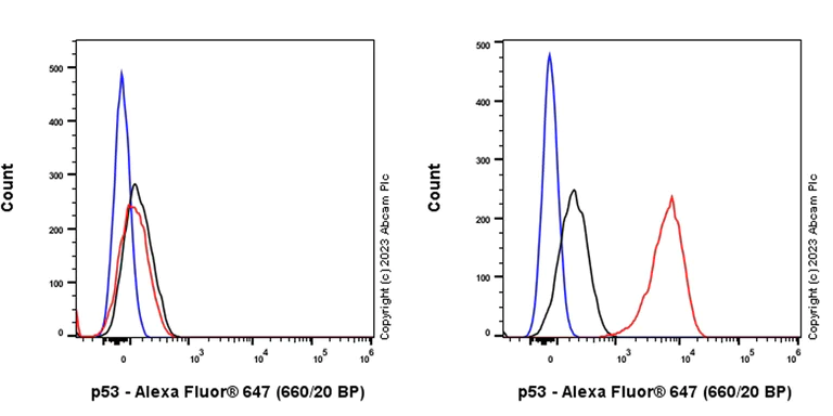 Flow Cytometry (Intracellular) - Anti-p53 antibody [G59-12] (AB308609)