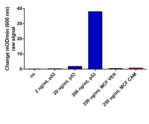 ELISA - Anti-p53 antibody [PAb 1801] (AB28), expandable thumbnail