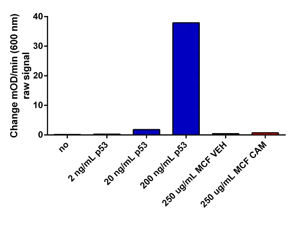 ELISA - Anti-p53 antibody [PAb 1801] (AB28)