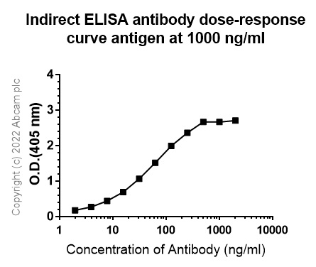 Indirect ELISA - Anti-p53 antibody [PAb 1801] (AB28)