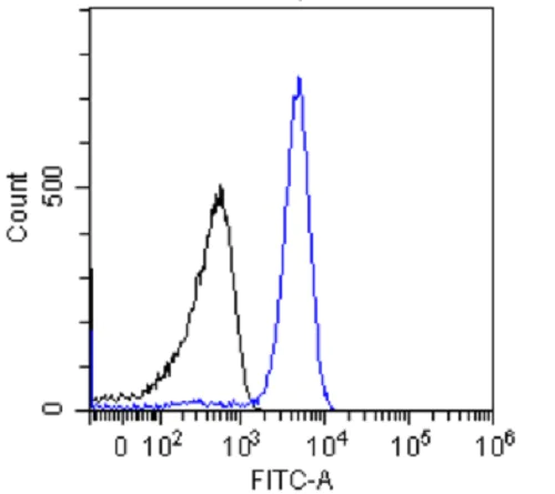 Flow Cytometry - Anti-p53 antibody [PAb421] (AB245685)