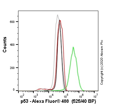 Flow Cytometry (Intracellular) - Anti-p53 antibody [SP161] - BSA and Azide free (AB245740), expandable thumbnail