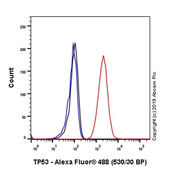 Flow Cytometry (Intracellular) - Anti-p53 antibody [SP161] - BSA and Azide free (AB245740)