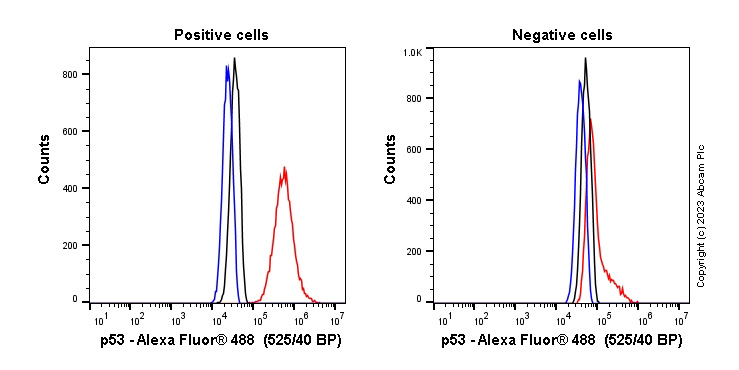 Flow Cytometry (Intracellular) - Anti-p53 antibody [Y5] (ab32049), expandable thumbnail