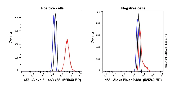 Flow Cytometry (Intracellular) - Anti-p53 antibody [Y5] (AB32049)