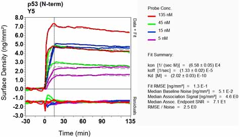 OI-RD Scanning - Anti-p53 antibody [Y5] (ab32049), expandable thumbnail