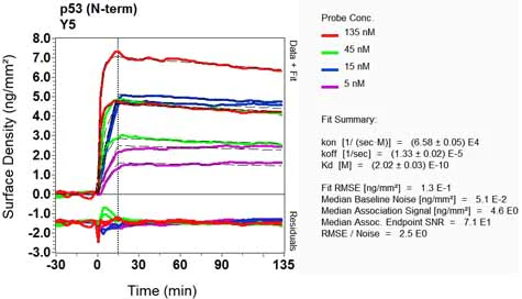 OI-RD Scanning - Anti-p53 antibody [Y5] (AB32049)