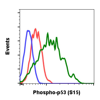 Flow Cytometry - Anti-p53 (phospho S15) antibody [P53S15-1C11] (AB278683)