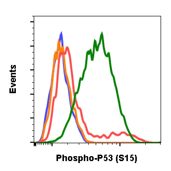 Flow Cytometry - Anti-p53 (phospho S15) antibody [P53S15-1C11] (AB278683)