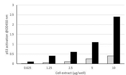 Functional Studies - p53 Transcription Factor Assay Kit (Colorimetric) (AB207225), expandable thumbnail